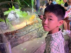 -正佳雨林生态植物园