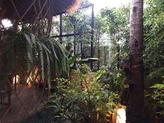 -Naughty Nuri’s Phuket