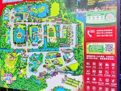 -广州长隆飞鸟乐园