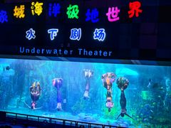 -泉城欧乐堡海洋极地世界