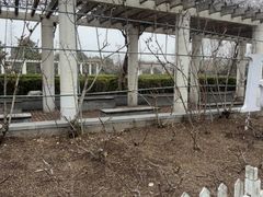 -郑州植物园