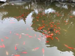 -口岸雕花楼