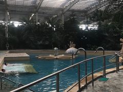 -龙达温泉生态城