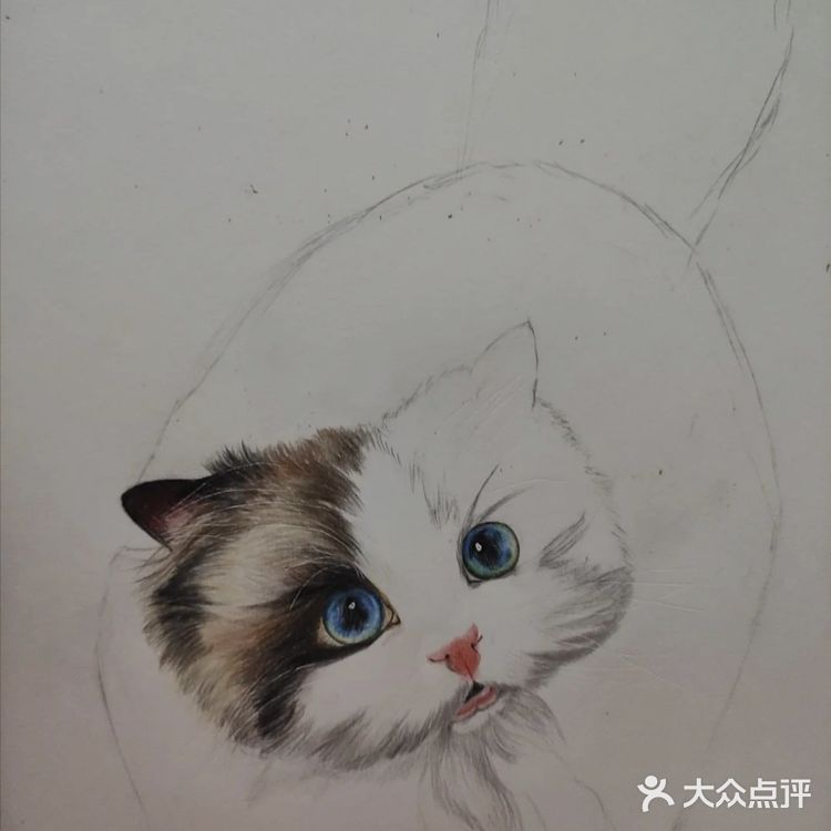 我的毛孩子[亲亲]