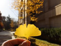 -西安交通大学(雁塔校区)