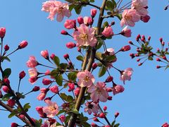 -滨湖塘西河公园