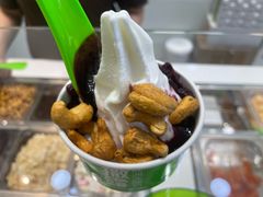 -Salud撒露欧洲冻酸奶(蓝色港湾店)