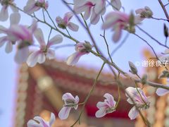 -东华门大街小区