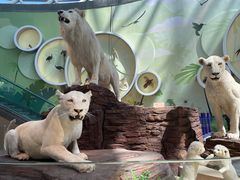 -陕西自然博物馆