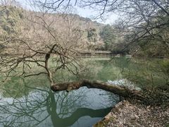 -白马涧龙池景区