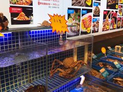 水产区-必点海鲜·鲅鱼水饺(鞍山西道店)