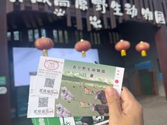 -青藏高原野生动物园