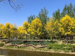 -东郊湿地公园