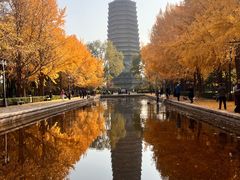 -玲珑塔公园