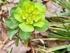 -唐城墙遗址公园