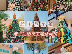 -迪士尼小镇
