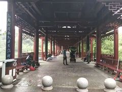 -重庆彩云湖湿地公园