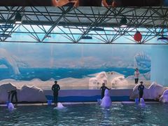 -秦皇岛乐岛海洋王国