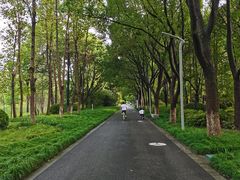 -昆山城市生态森林公园