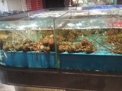 -阿伟海鲜楼·福建菜(延寿店)