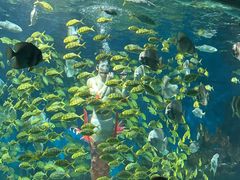 -海合安武汉极地海洋公园
