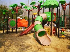 -合肥滨湖国家森林公园