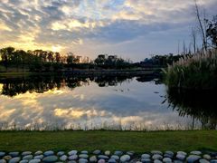 -白鹭湾湿地公园