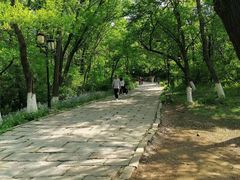 -高尔山公园