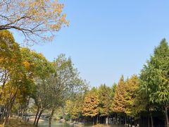 -上方山森林动物世界