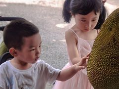 -西双版纳傣族园