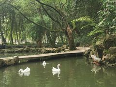 -兰亭风景区