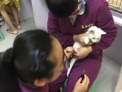 -惠康宠物医院(华能路店)