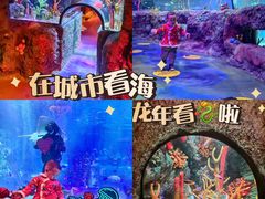 -沈阳海洋探索中心