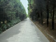 -秦始皇帝陵博物院-丽山园