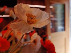 -发酵食堂(屏风街店)