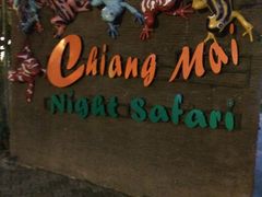 -清迈夜间动物园