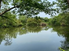 -木守西溪溪隐餐厅