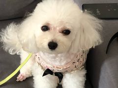 -MOLLY'S萌宠生活馆