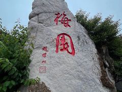 -梅园