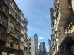 -油麻地果栏