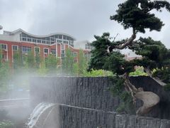 -龙宴海鲜城(经中路店)