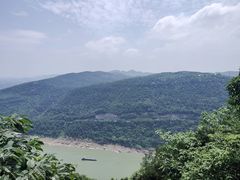 -铁山坪森林公园