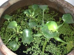 -郑厨私房菜