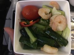 -新加坡航空公司(ION)