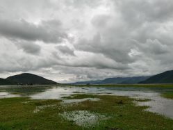 -纳帕海依拉草原