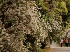 -国家植物园南园