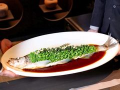 -茶人村·前滩江景雅宴(上海首店)