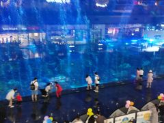 -成都浩海立方海洋公园