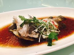 -骏莱海鲜鱼港(五角场店)