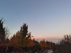 -北京西山国家森林公园